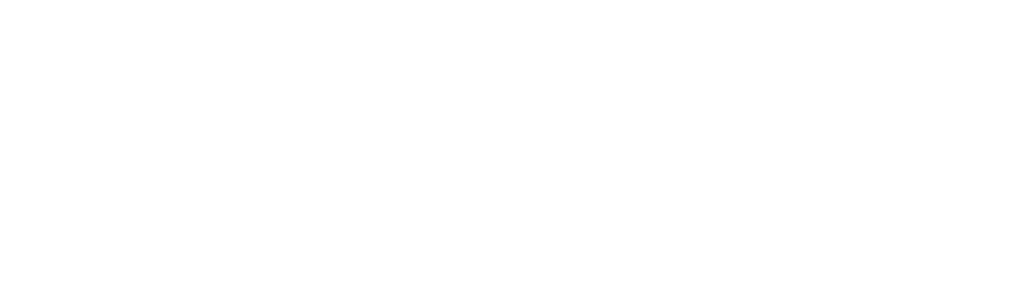 Palmilla Beach Resort logo