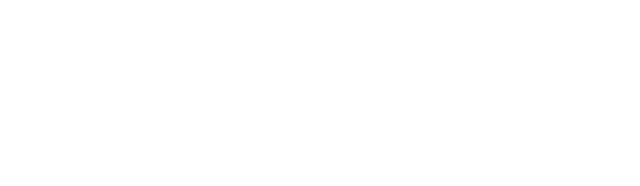 Red McCombs Automotive logo