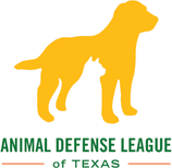 Animal Defense League Of Texas Mccombs Foundation